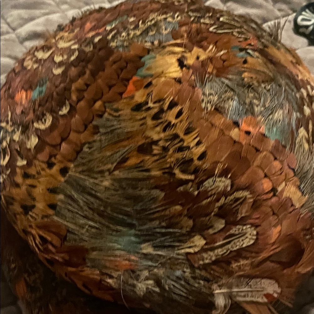 Feather Hat - Picture 5 of 15